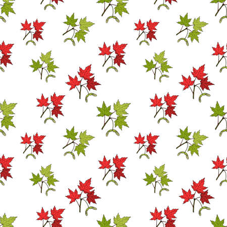Seamless pattern with sugar mapleのイラスト素材