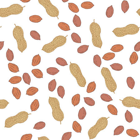 Seamless pattern with peanut,のイラスト素材