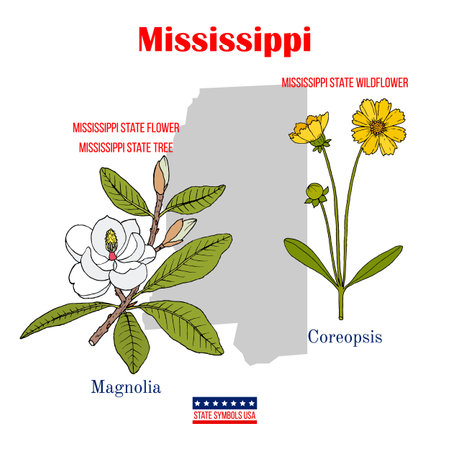 Mississippi. Set of USA official state symbolsのイラスト素材
