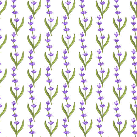 Seamless pattern of lavender flowersのイラスト素材