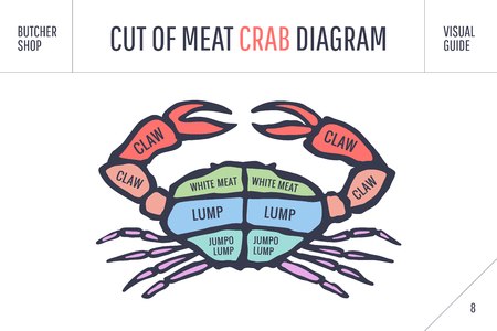 Cut of meat set. Poster Butcher diagram and scheme - Crab. Colorful vintage typographic hand-drawn visual guide for butcher shop. Vector illustrationのイラスト素材
