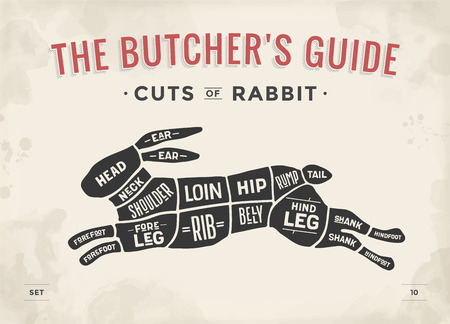Cut of meat set. Poster Butcher diagram, scheme - Rabbit.のイラスト素材