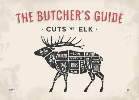 Cut of meat set. Poster Butcher diagram, scheme of Elk. Vintage typographic hand-drawn elk silhouette for butcher shop, restaurant menu, graphic design. Meat theme Illustration.のイラスト素材