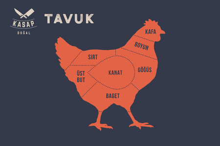 Typographic with the names of parts of meat in Turkish. Graphic design for butcher shop, restaurant poster, banner. Vector Illustrationのイラスト素材