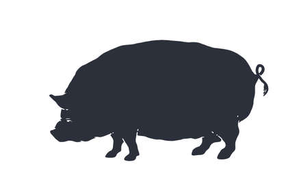 Pig, silhouette. Vintage retro print, poster