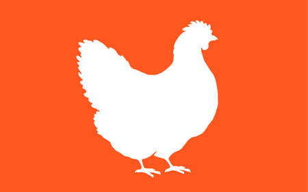 Hen, chicken. Isolated silhouette of chicken or hen.のイラスト素材