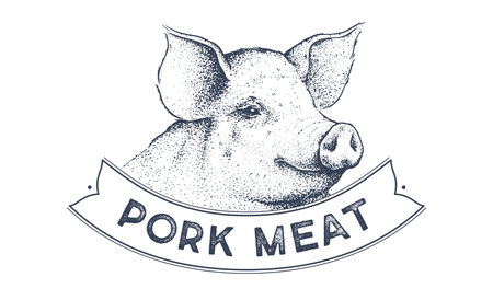Pork, pig head, meat tag label. Template Meat Tag Label. Vintage print, tag, label with pig sketch ink pencil style drawing. Butchery pork pig head meat shop, text, typography. Vector Illustrationのイラスト素材