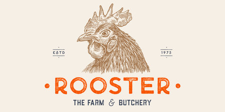 Rooster, chicken, hen head. Vintage retro print, rooster sketch ink pencil style drawing, engrave old school. Sketch artwork silhouette head rooster chicken. Side view profile. Vector Illustrationのイラスト素材