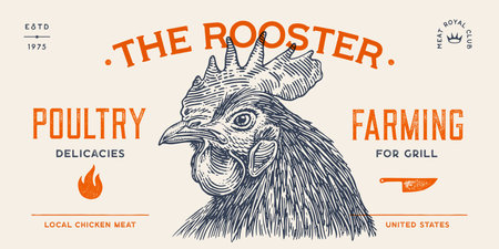 Rooster, chicken, hen head. Vintage retro print, rooster sketch ink pencil style drawing, engrave old school. Sketch artwork silhouette head rooster chicken. Side view profile. Vector Illustrationのイラスト素材