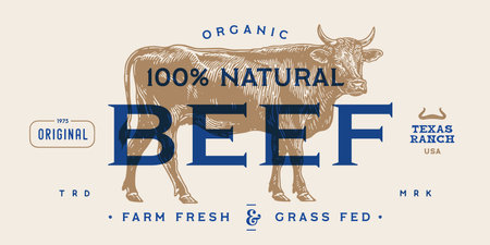 Cow, bull, beef meat, tag label. Template Meat Beef Tag Label. Vintage cow print, tag, label sketch ink pencil drawing. Butchery cow, bull, beef meat shop, text, typography. Vector Illustrationのイラスト素材