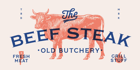 Cow, bull, beef meat, tag label. Template Meat Beef Tag Label. Vintage cow print, tag, label sketch ink pencil drawing. Butchery cow, bull, beef meat shop, text, typography. Vector Illustrationのイラスト素材