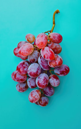 Grape. Bunch of grapes, fruit branch on pastel uniform color background, studio minimal concept. Minimalist summer brunch of grape, fruit, food concept, top view. Realistic Photoの素材