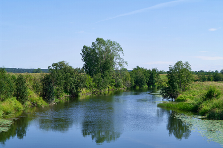 Summer landscape on a sunny day. The river flows among small trees and meadowsの写真素材