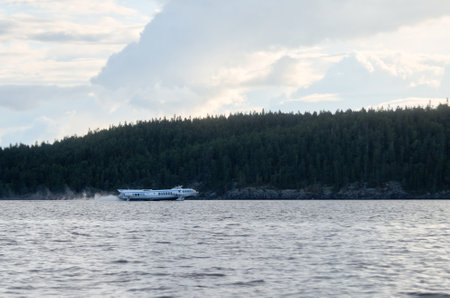 Hydrofoil sailing on a summer lake
