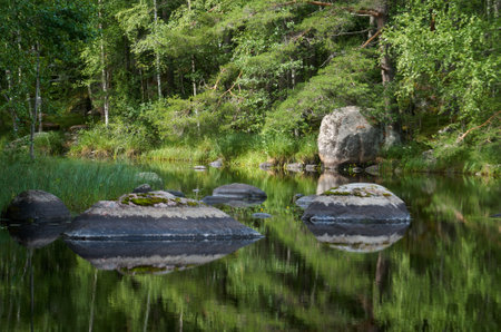 Summer landscape with lake, stones and forestの写真素材