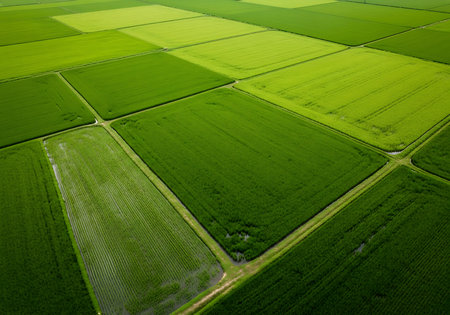 Expansive farmland stretches out below, showcasing a patchwork of lush green fields with distinct borders. This aerial view highlights the organized beauty of agricultural landscapes and the bounty of nature.の素材