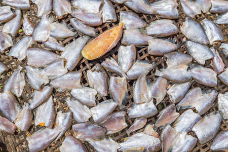 Dried salted fishの写真素材