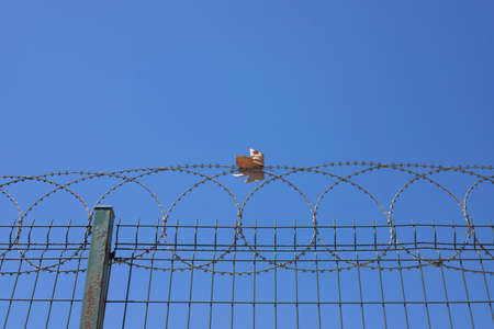 autumn leaf resting on a wire netting.