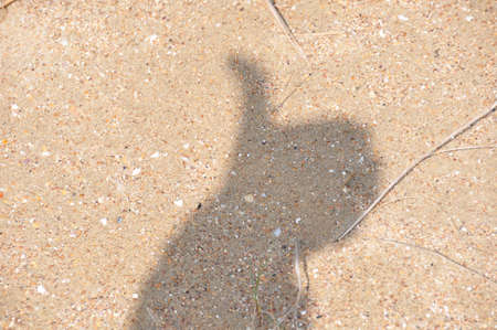 Thumb Up Shadowの写真素材