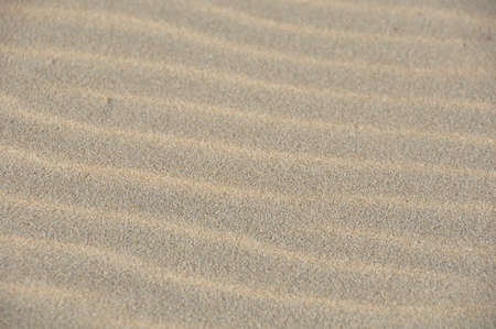 Beach Sandの写真素材