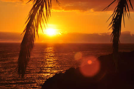 Sunset の写真素材