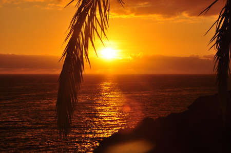 Sunset の写真素材