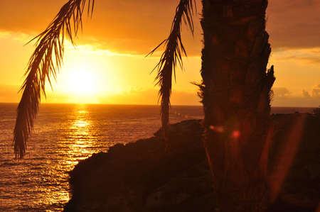 Sunset の写真素材