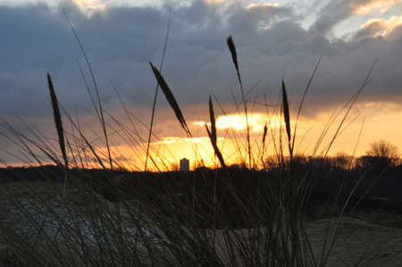 Sunset の写真素材