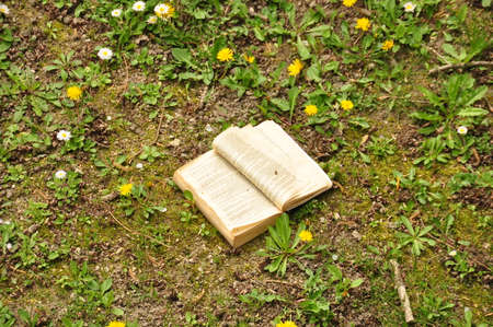 Book in Natureの写真素材
