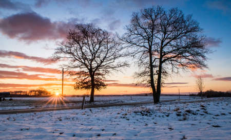 Two trees on the side of the road dunring french countryside sunrisewith Alpes on far backgroundの写真素材