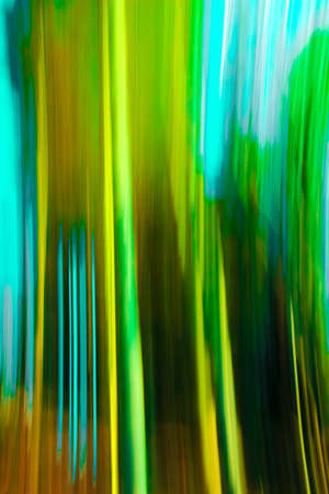 Motion blur forest effect, green tainted and highly saturatedの写真素材