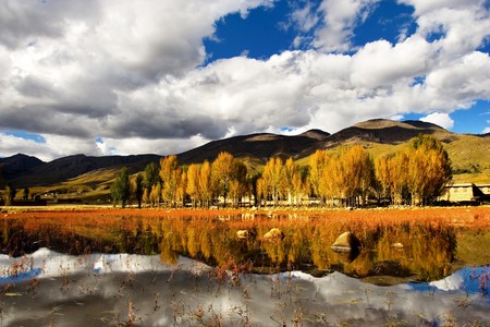 Day view of  red grass wetland at Daocheng Sichuan Province Chinaの写真素材