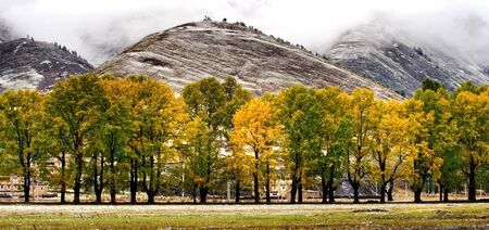 Snow view of tibetan village at Shangri-la Chinaの写真素材