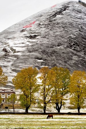 Snow view of tibetan village at Shangri-la China