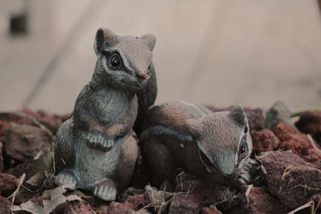 Chipmunk statues in gardenの写真素材