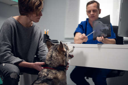A worried young woman with her dog at a veterinarian clinic, having a consultation with an experienced vet doctor.の写真素材