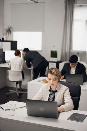 Two bookshop managers working on laptop in a large bright office. Business dress code