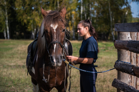 Cute girl gets ready for a ride on a horse and saddles it on an autumn day.の写真素材