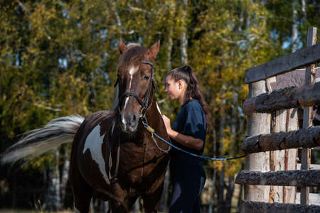 At the ranch, grooming time, a girl brushes her horse in the fall at the paddock.の写真素材