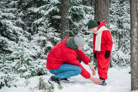On a cool day, the father and son walk through the woods on a winter day, the father helps the boy remove snow from his shoes.の写真素材
