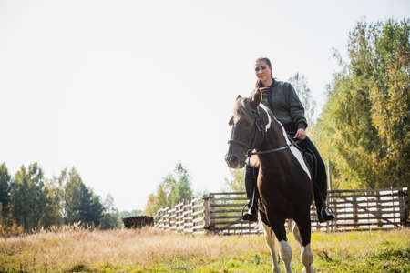 On a sunny day, the girl takes a ride on horseback through the expanses of her estateの写真素材