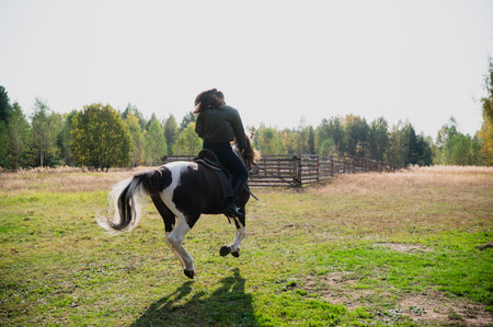 A pretty girl came to the country equestrian club and rides a horse through the fields in the fallの写真素材