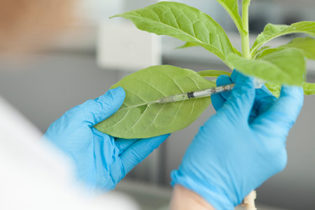 plant laboratoryの写真素材