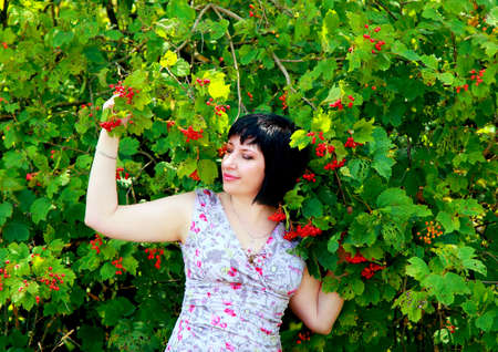 A beautiful brunette hugs the branches of a Bush of viburnum.の写真素材