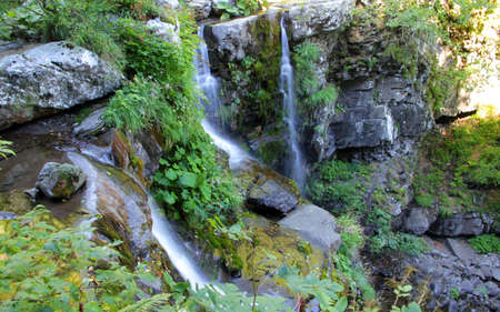  Amazing waterfalls in a peaceful green forest  の写真素材