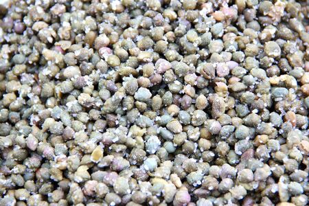 A bunch of green capers with saltの写真素材