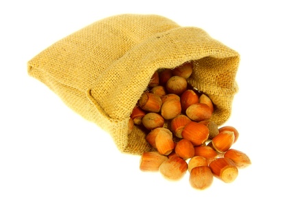 Jute bag full of nuts with white backgroundの写真素材