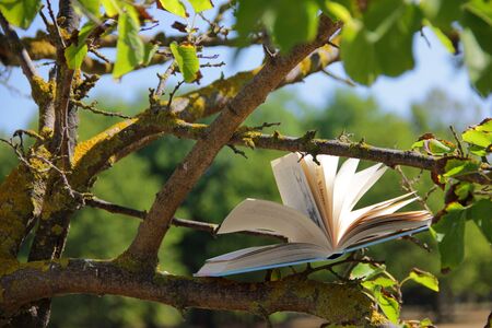 Tree of books