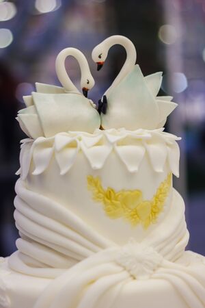 Cake designの写真素材