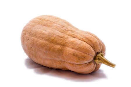 A pumpkin with white backgroundの写真素材